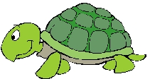 2006_03_30 turtle.jpg